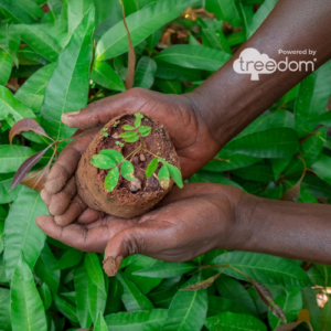 PIANTIAMO INSIEME IL FUTURO